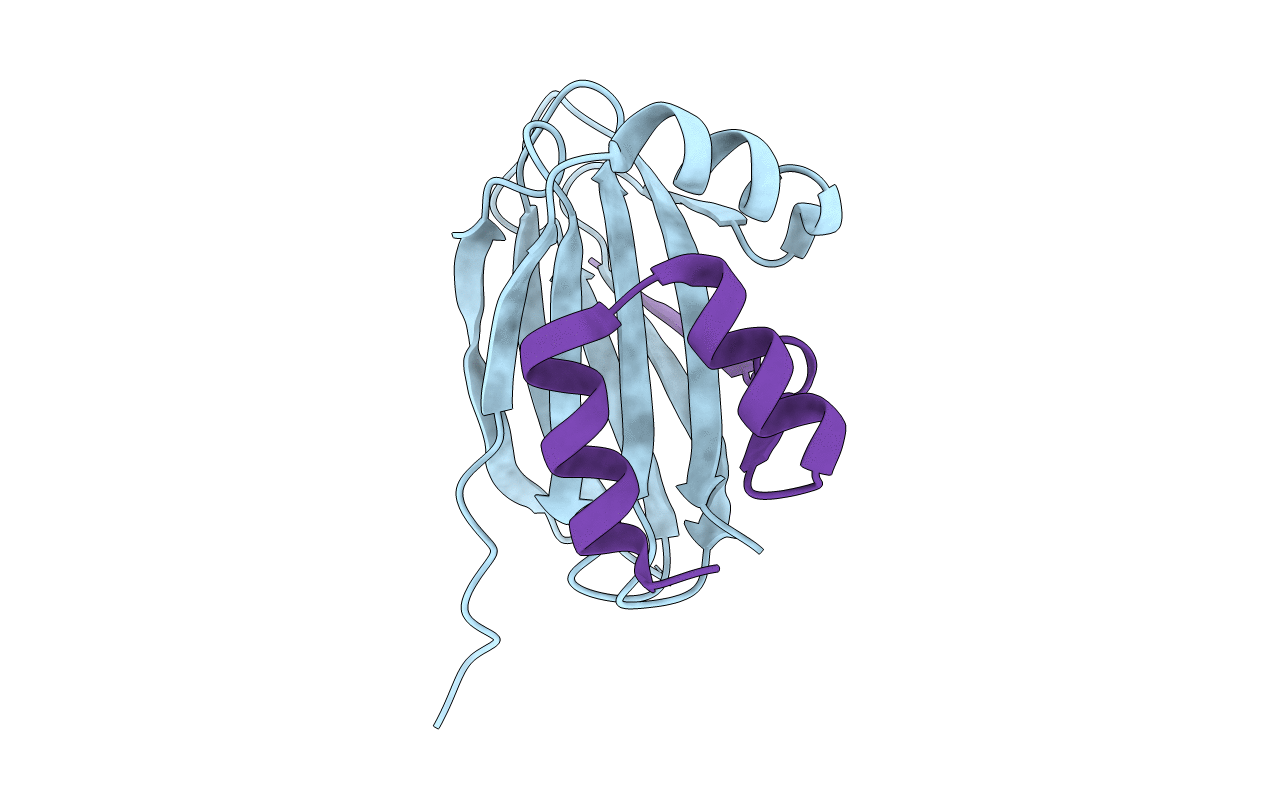 6HLV image