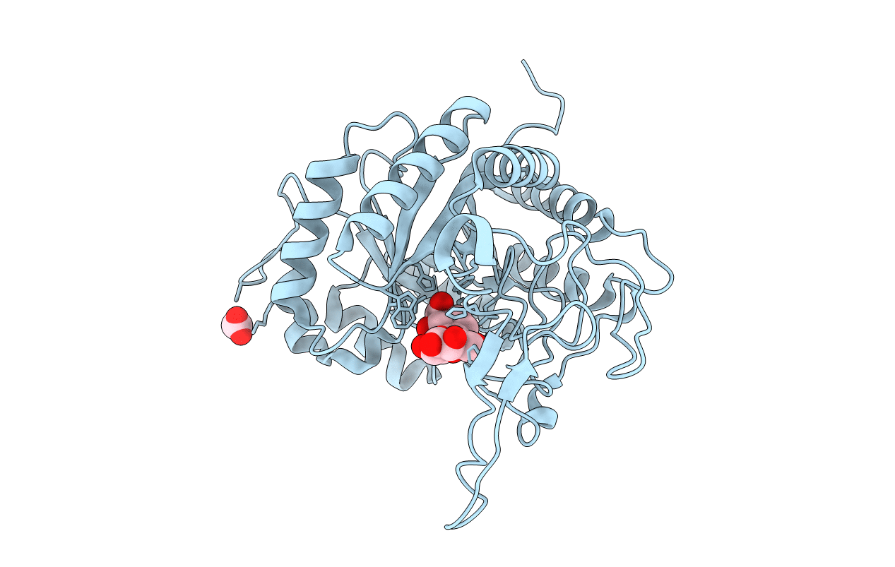 6HMG image