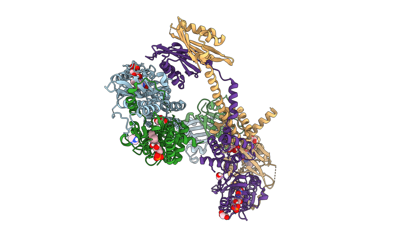 6HMJ image