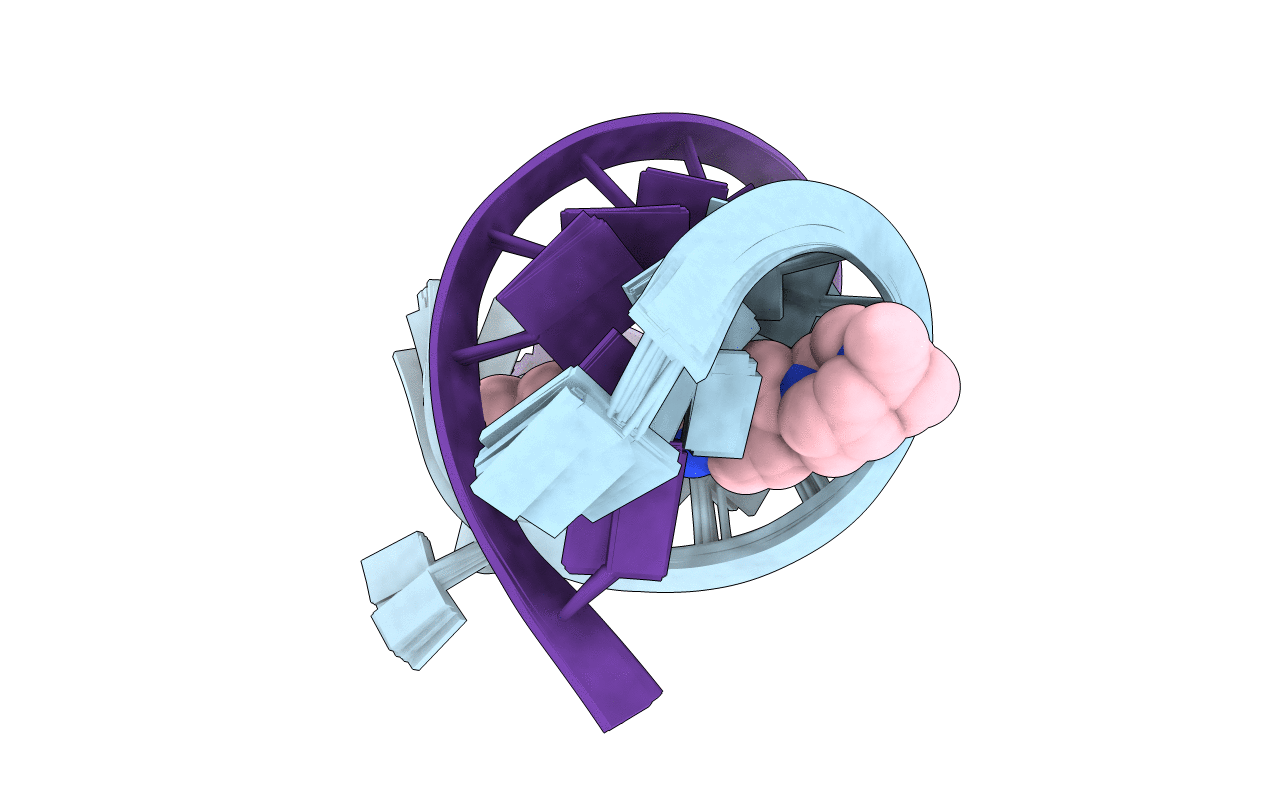6HMO image