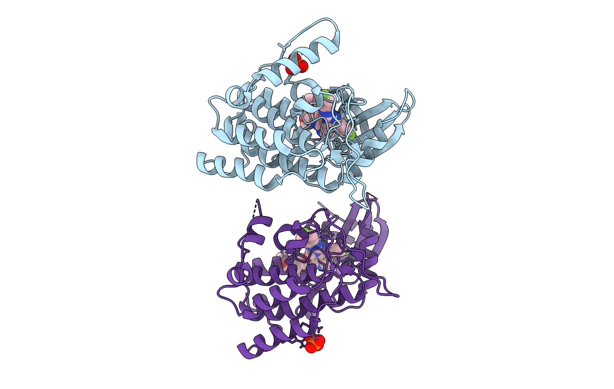 6HMP image