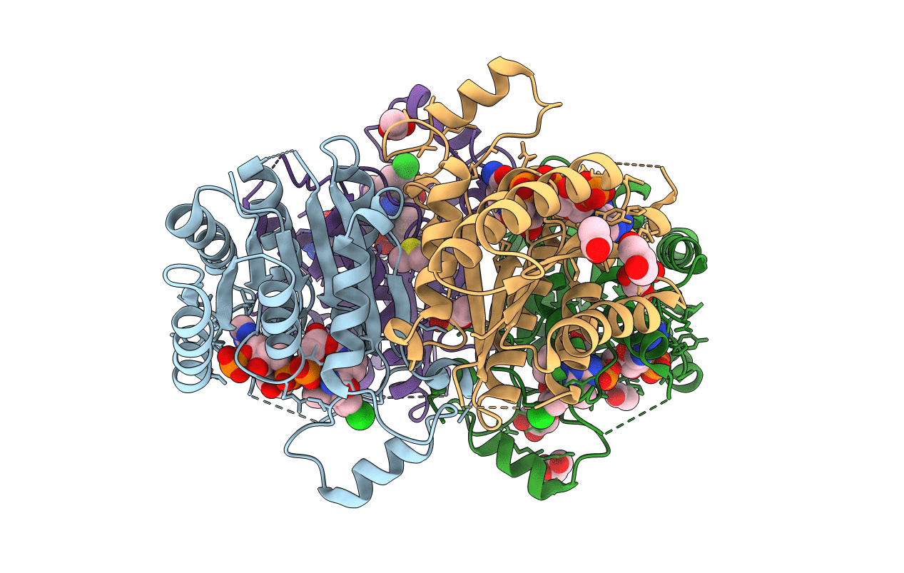 6HNC image