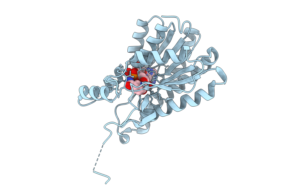 6HNO image