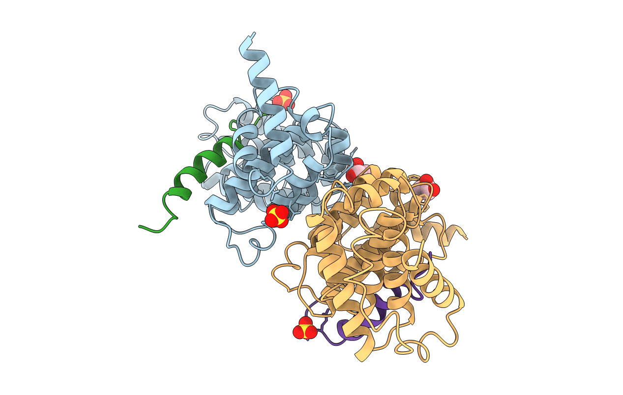 6HOM image