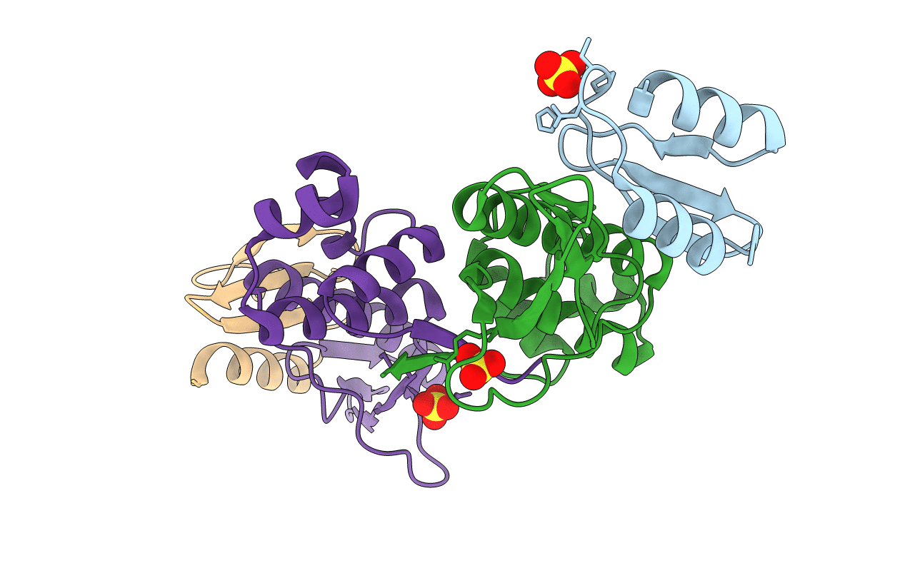6HPB image