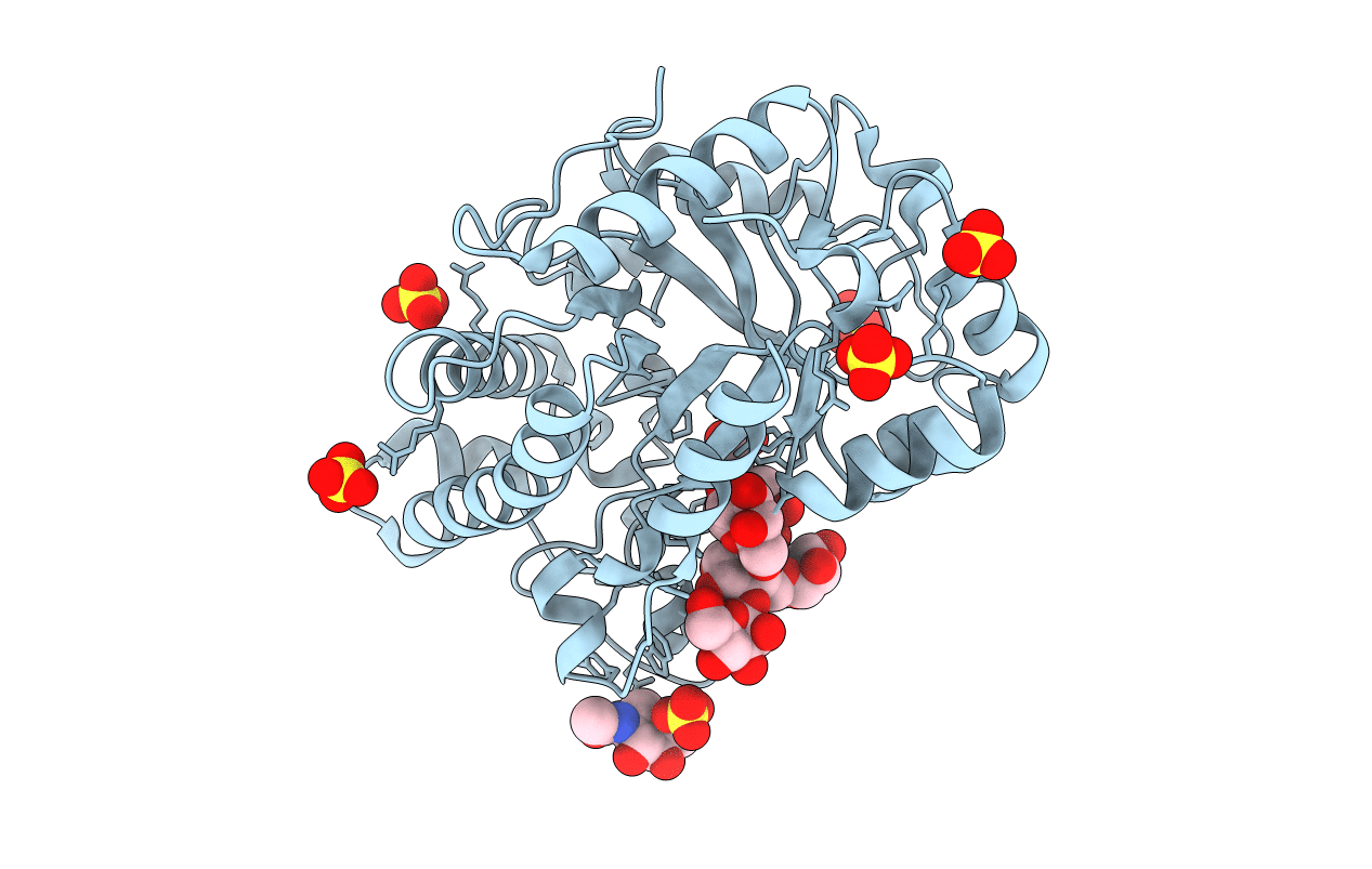 6HPF image