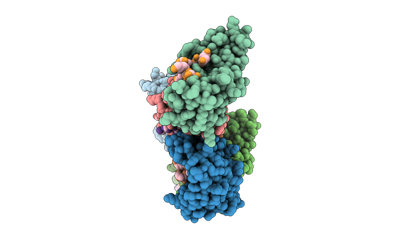 6HPG image