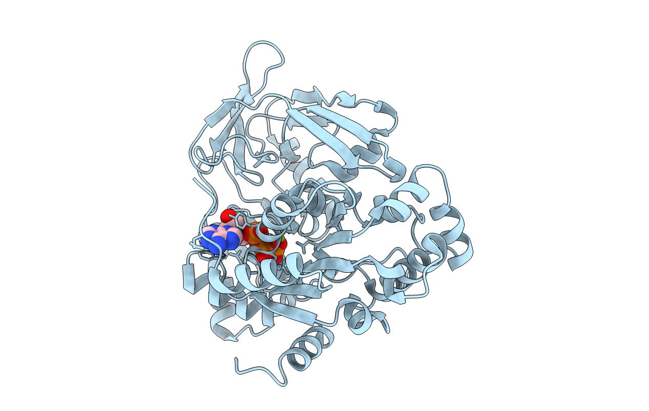 6HPH image