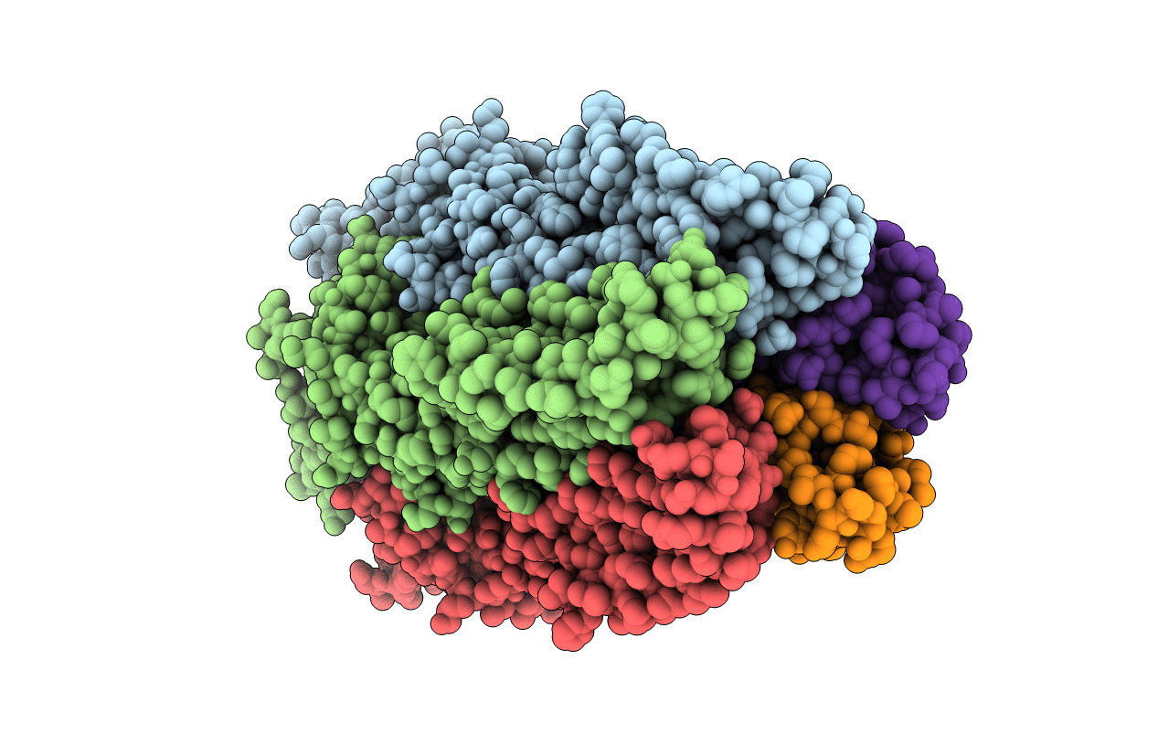 6HPP image