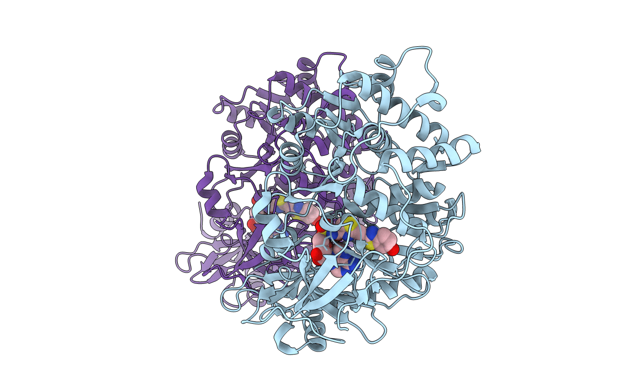 6HPS image