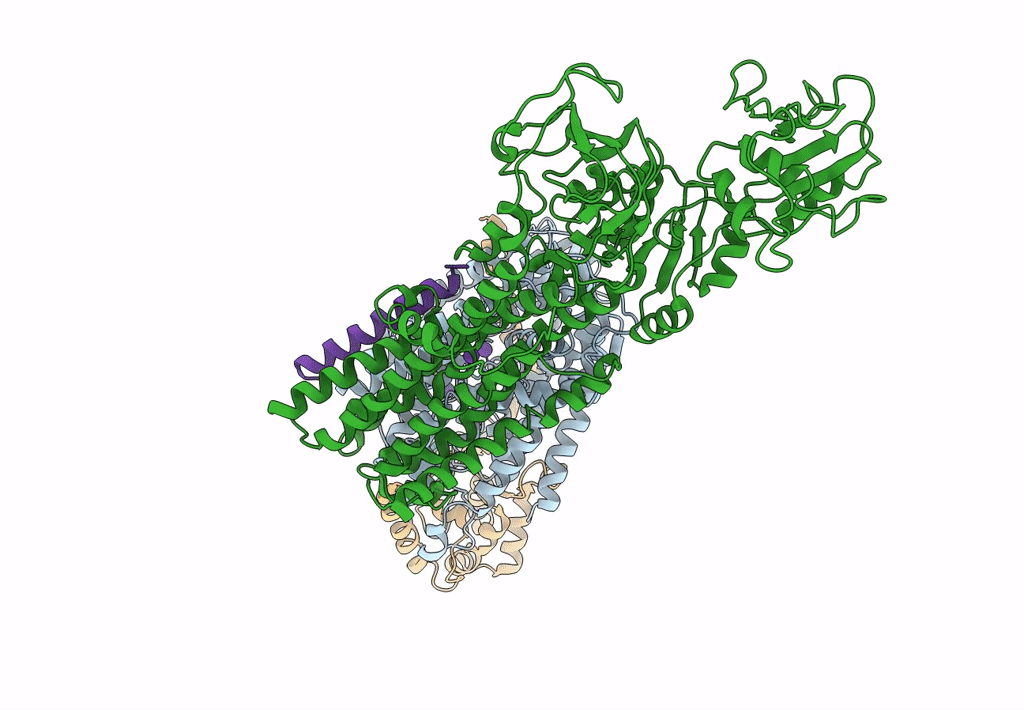 6HRA image