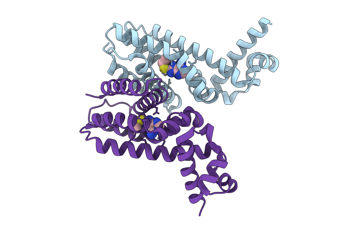 6HRX image