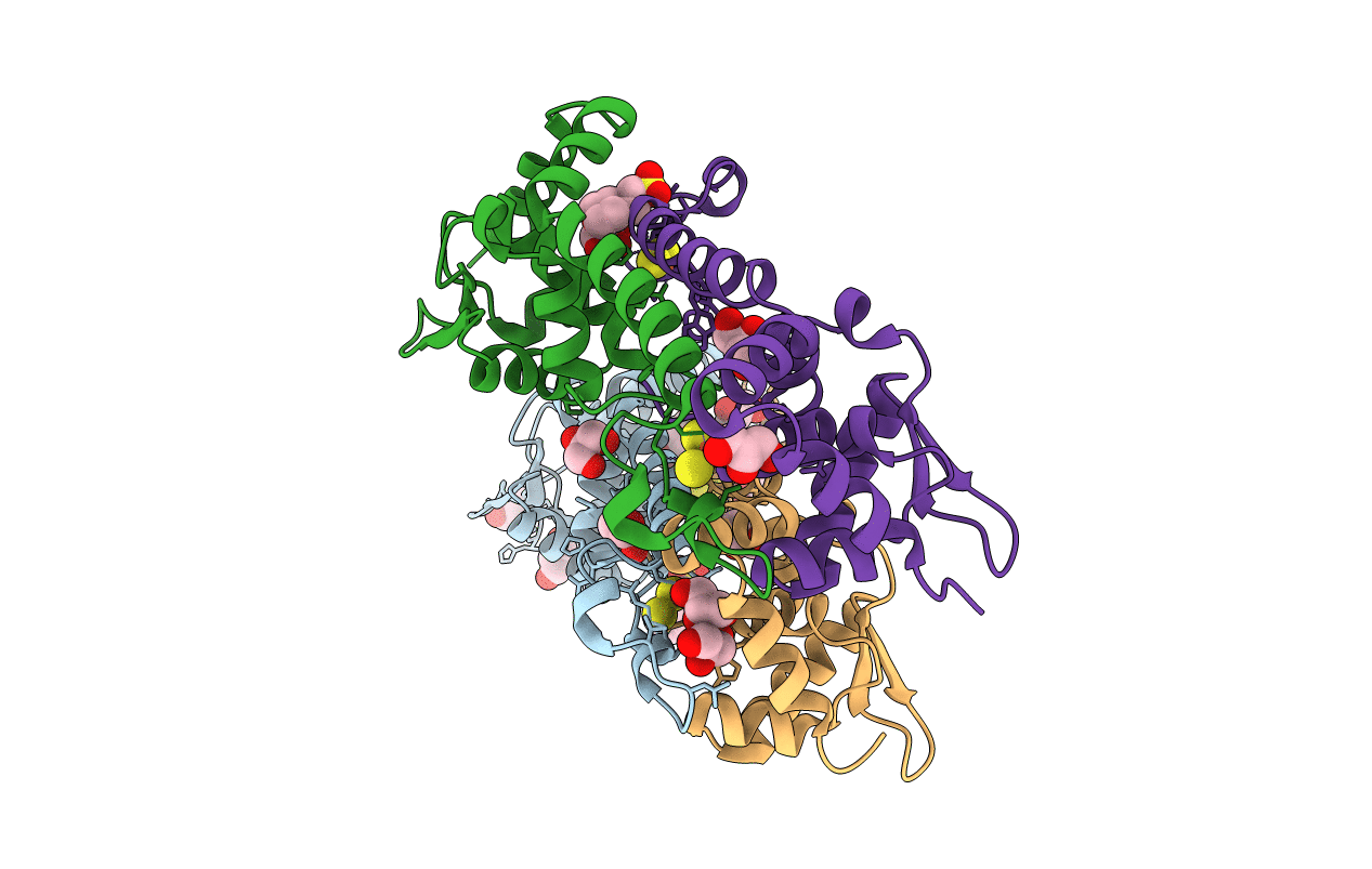 6HSD image