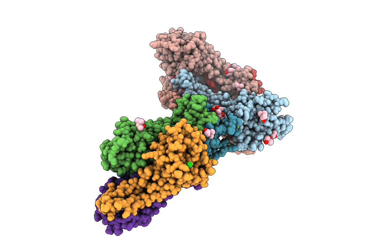 6HSM image