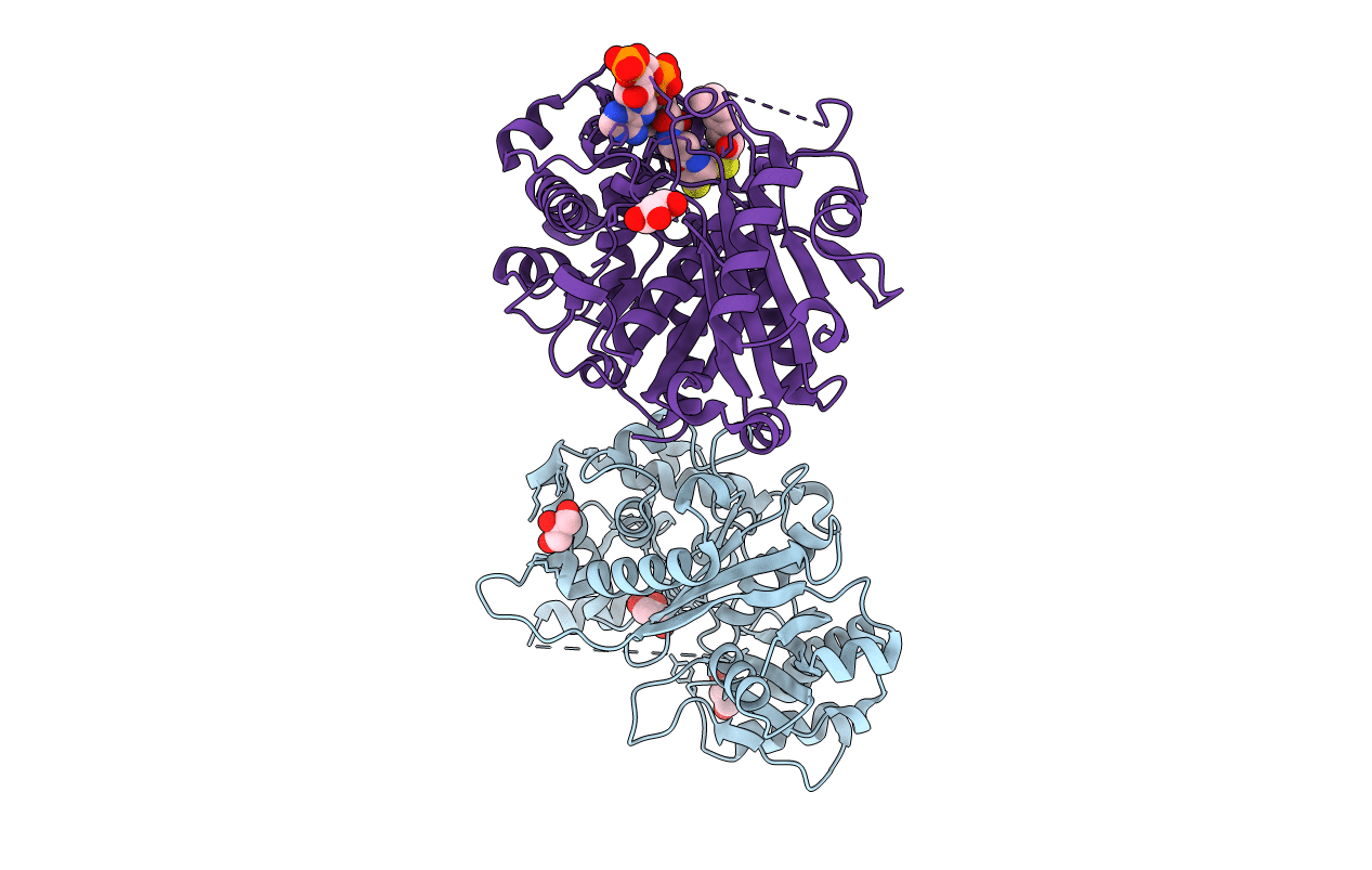 6HSP image