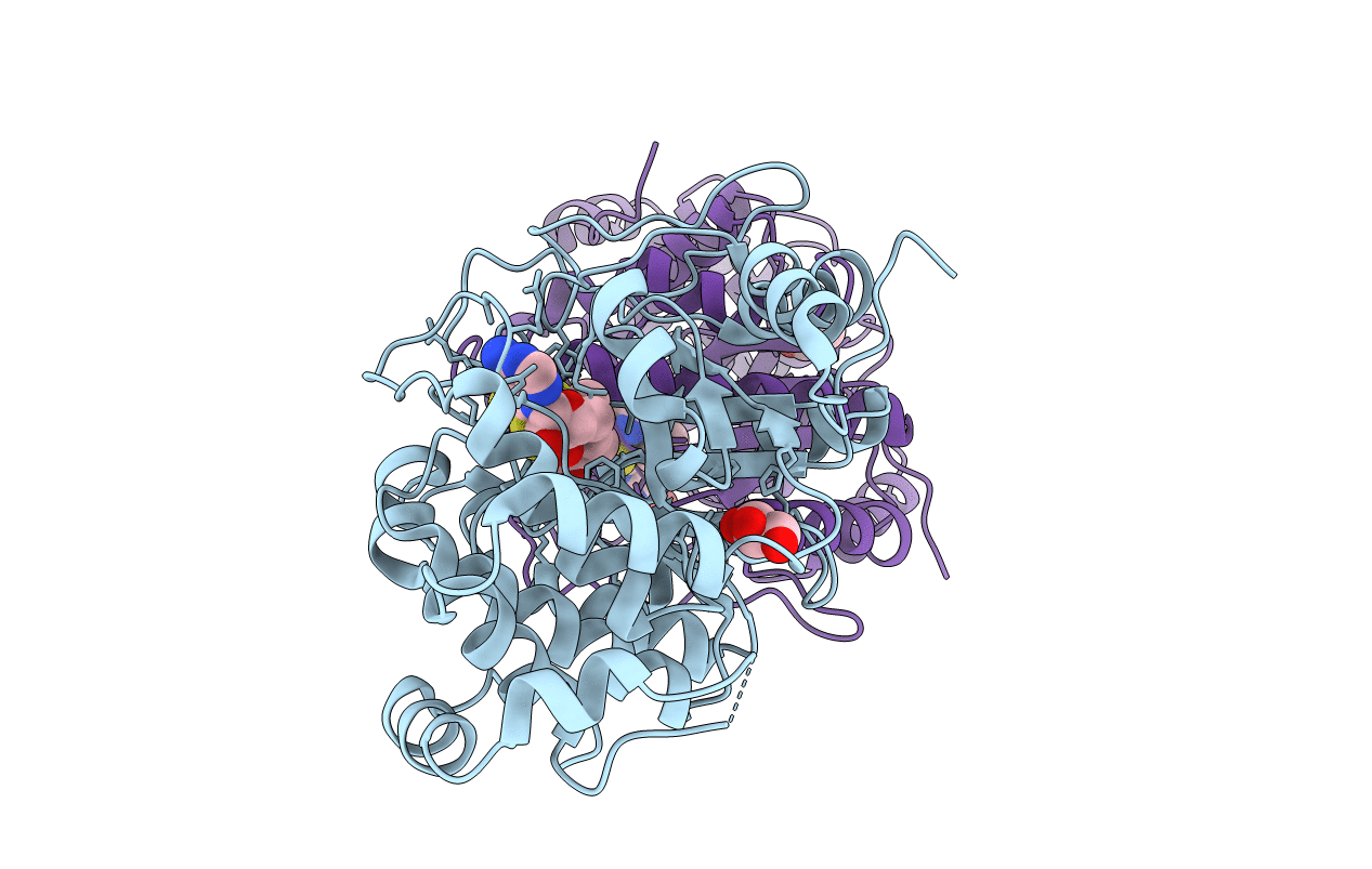 6HTO image