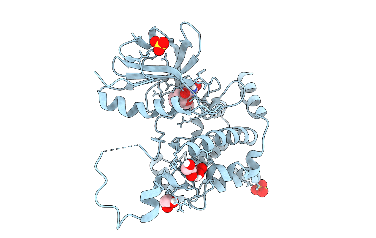 6HVD image