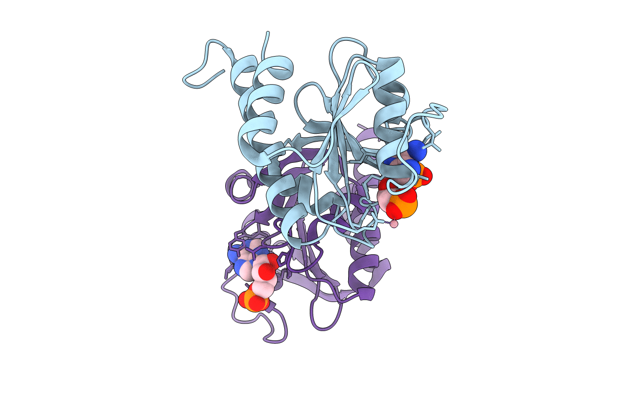 6HVL image