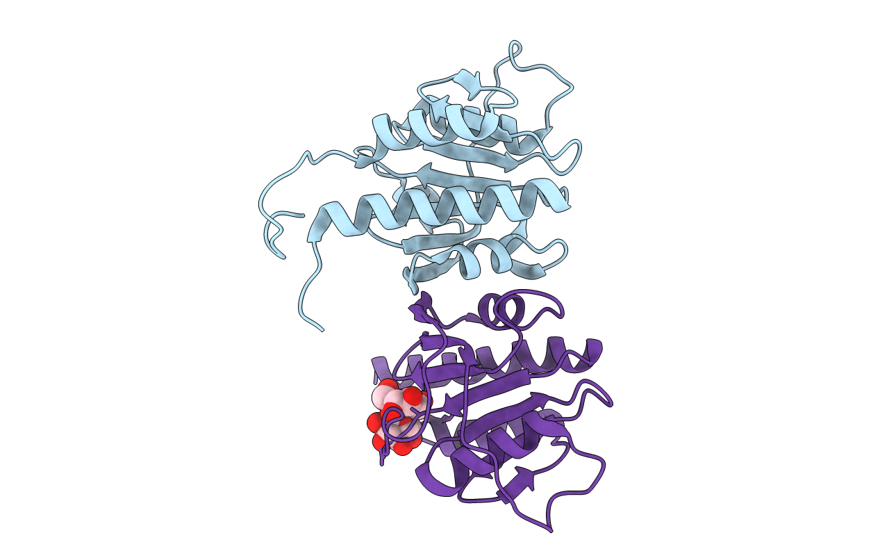 6HVM image