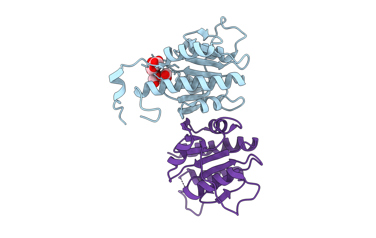 6HVN image