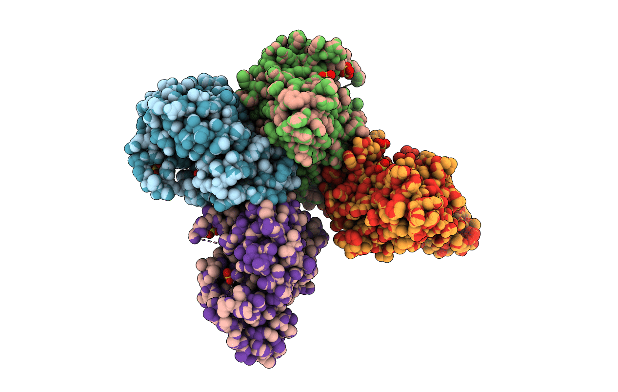 6HX3 image