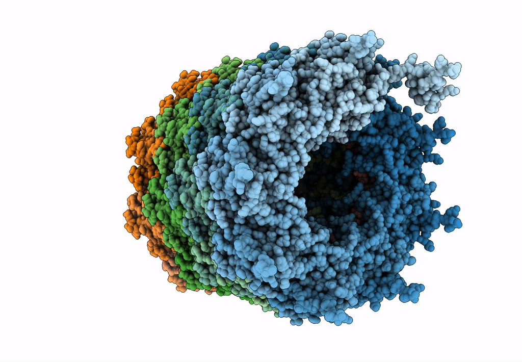 6HXX image