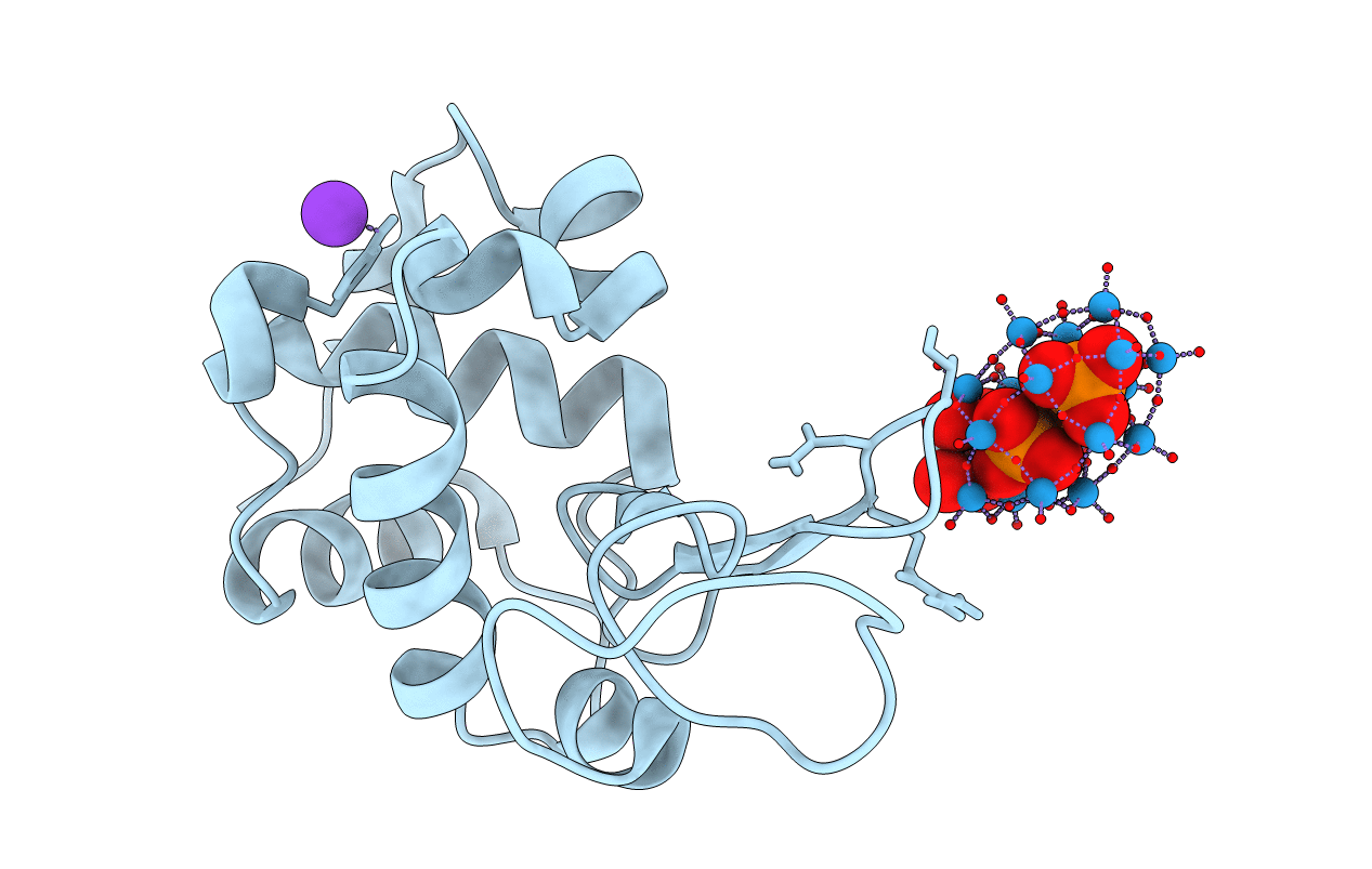 6HYB image