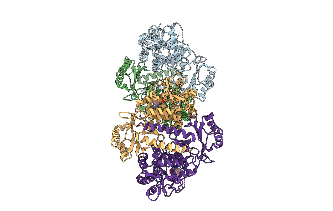 6HYC image