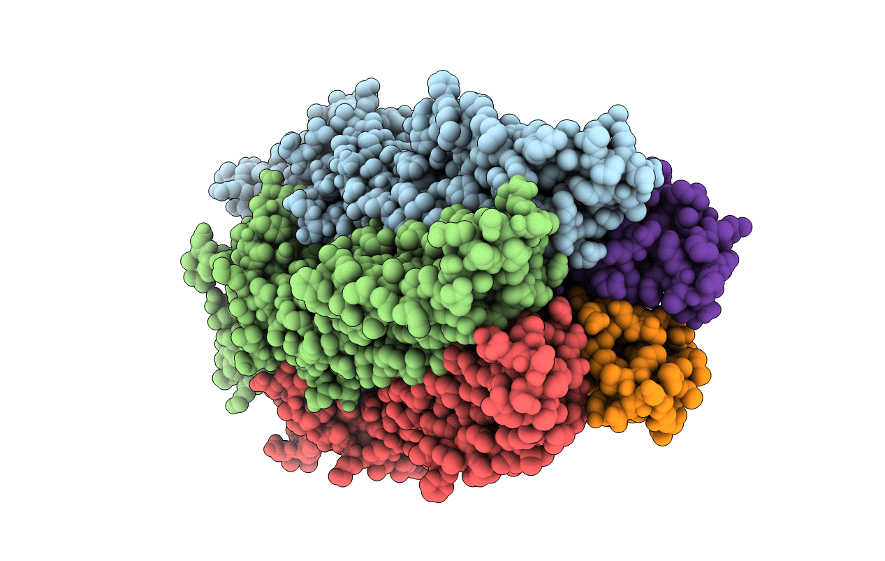 6HYX image