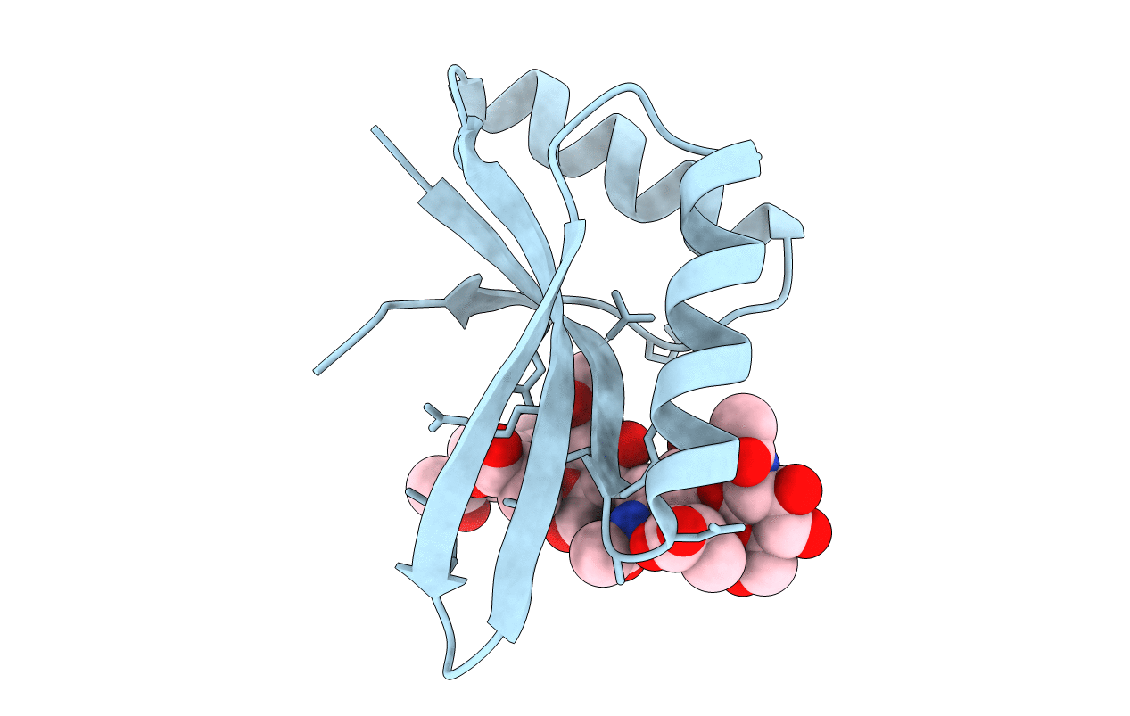 6I0A image