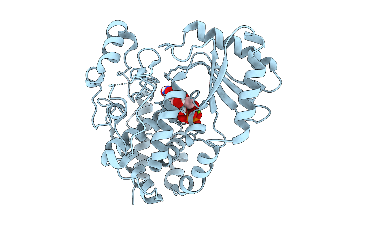 6i0s image