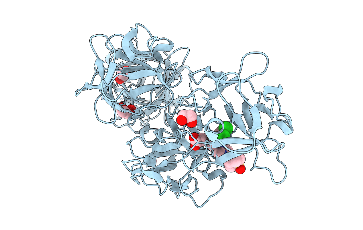 6I10 image