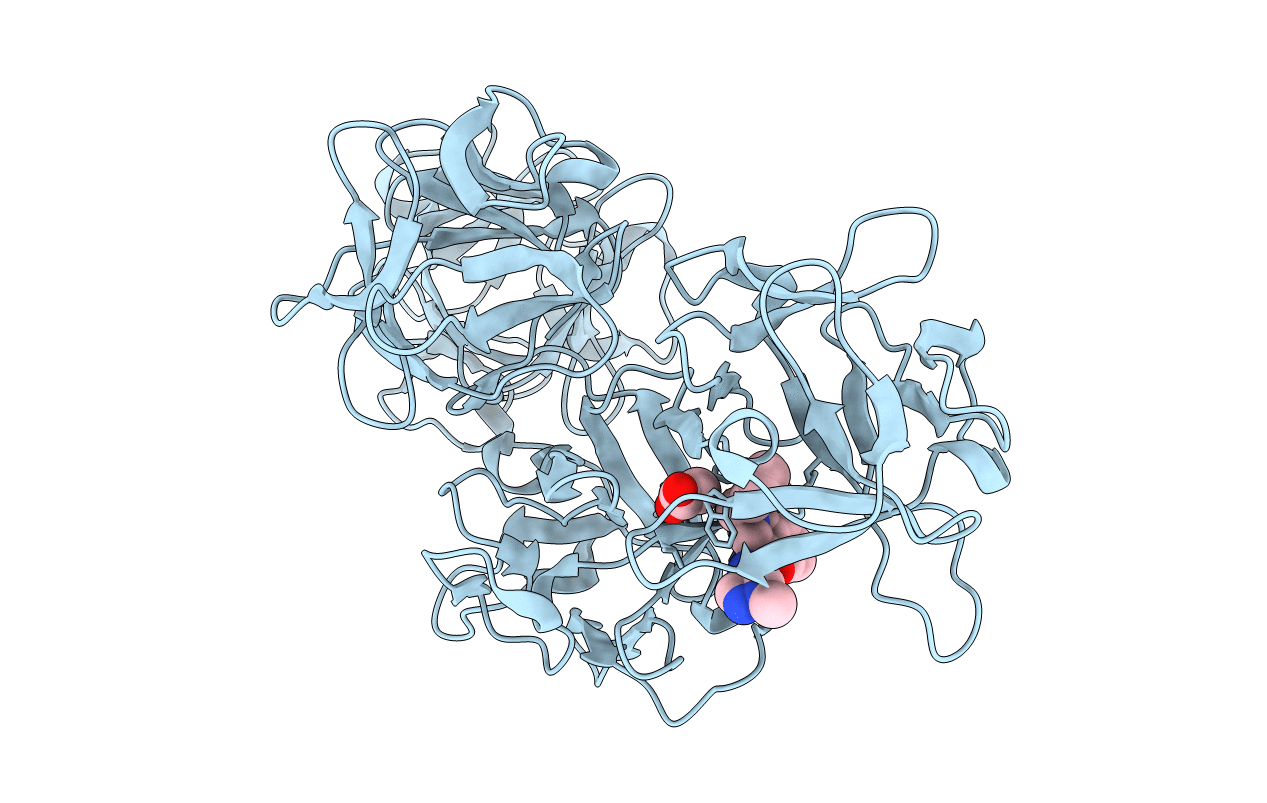 6I11 image