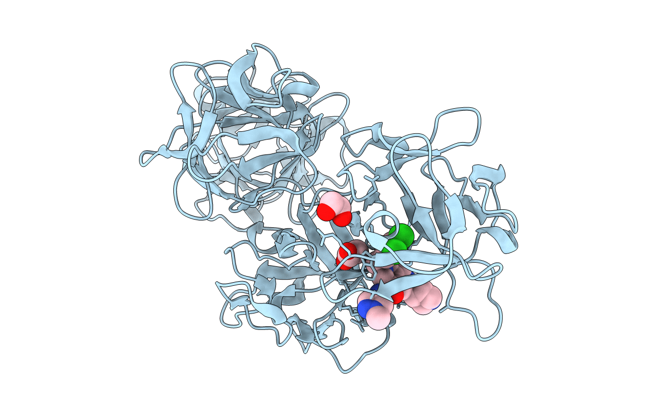 6I17 image