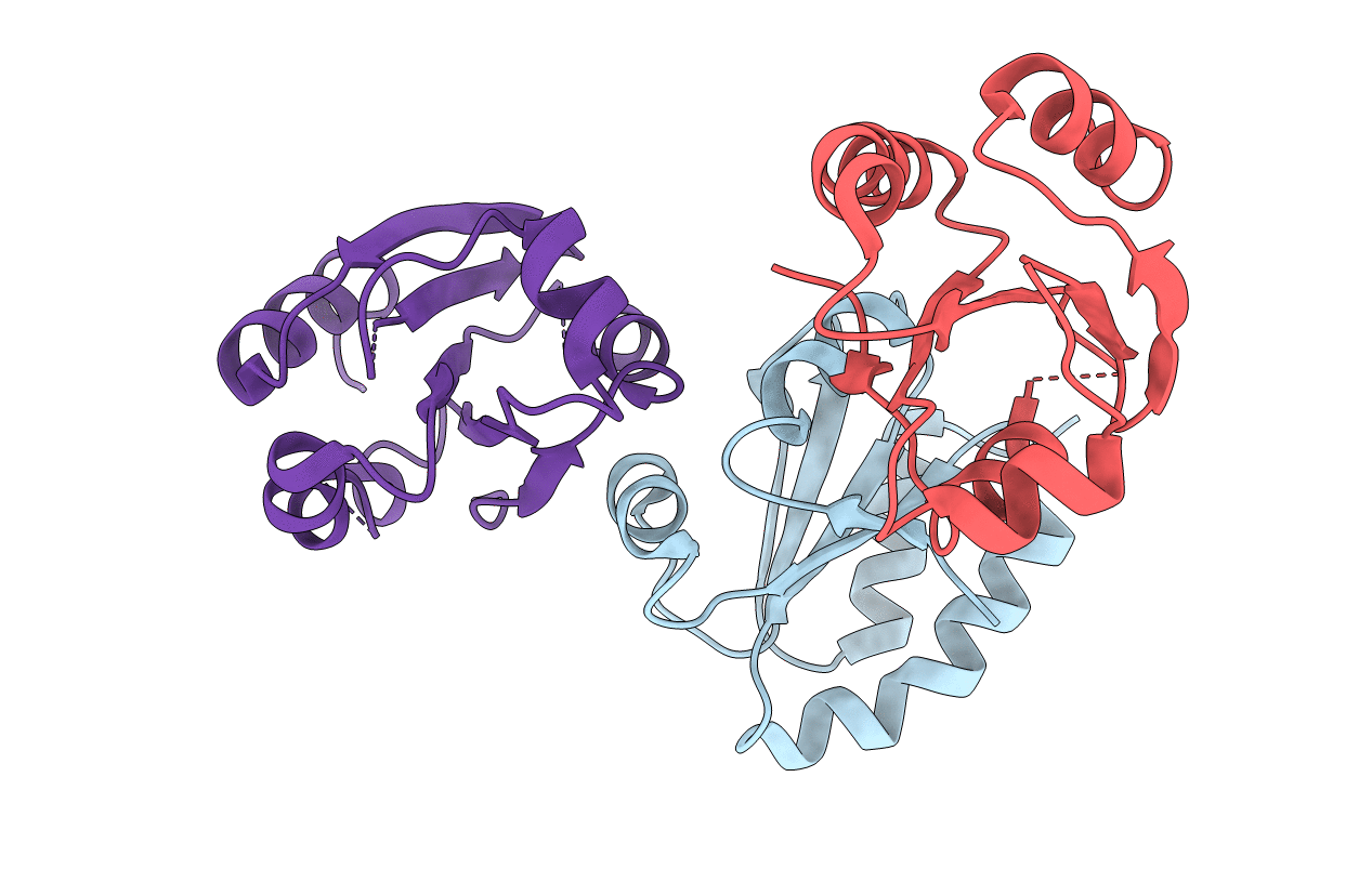 6I1C image