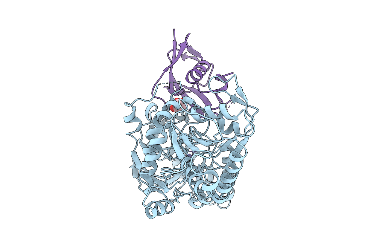6I1D image
