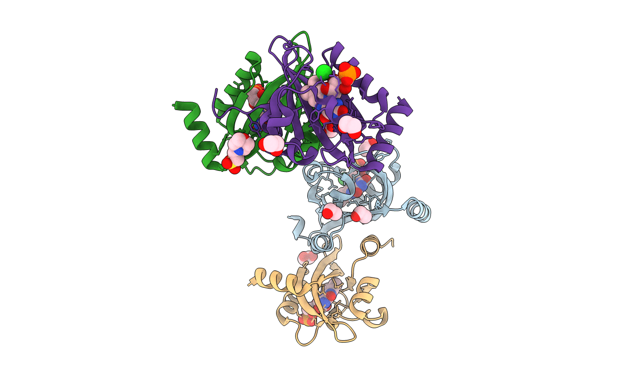 6I20 image