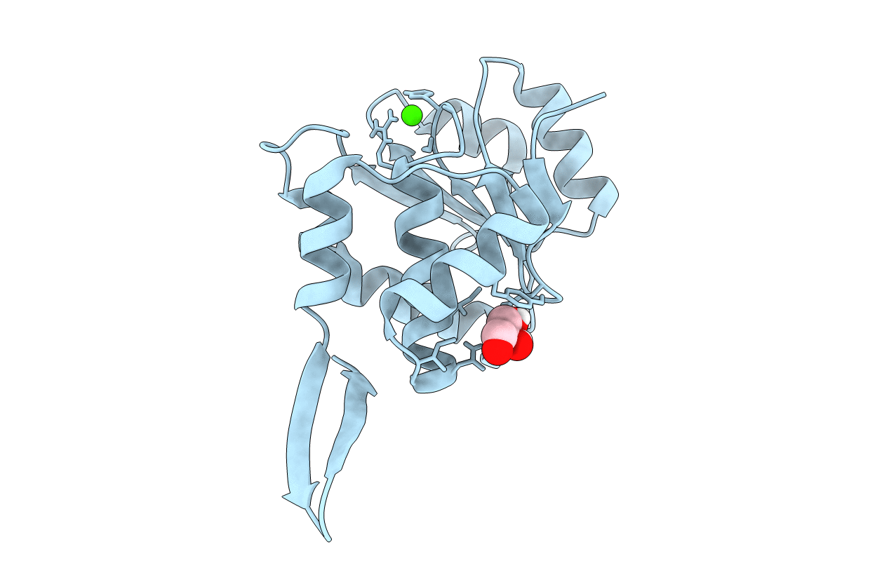 6I28 image