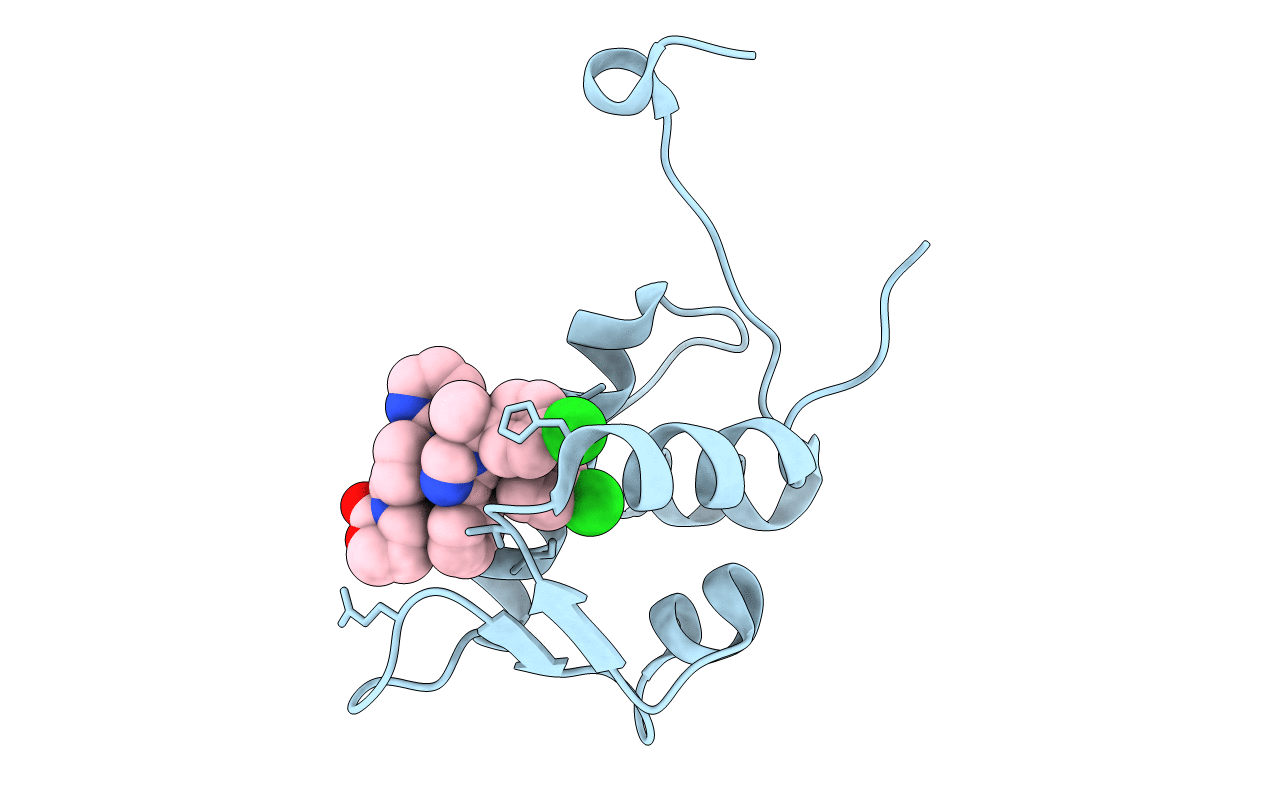 6I29 image