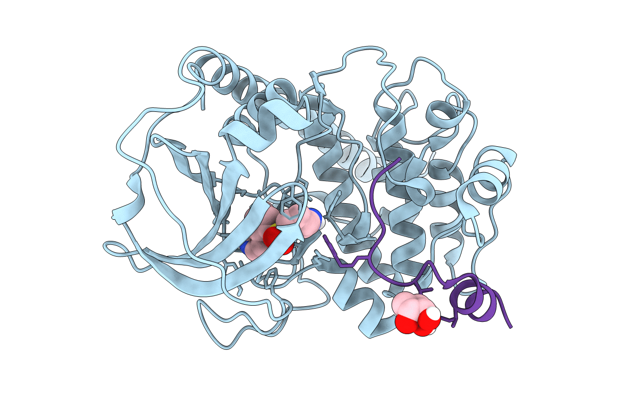 6I2A image