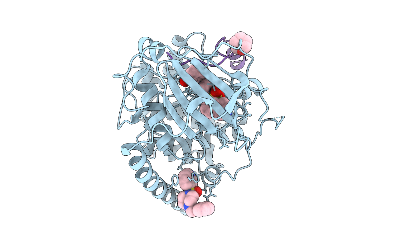 6I2B image