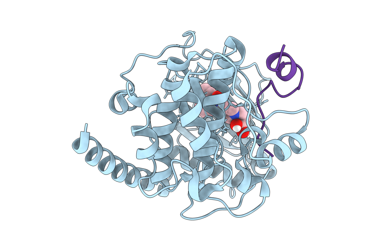 6I2D image