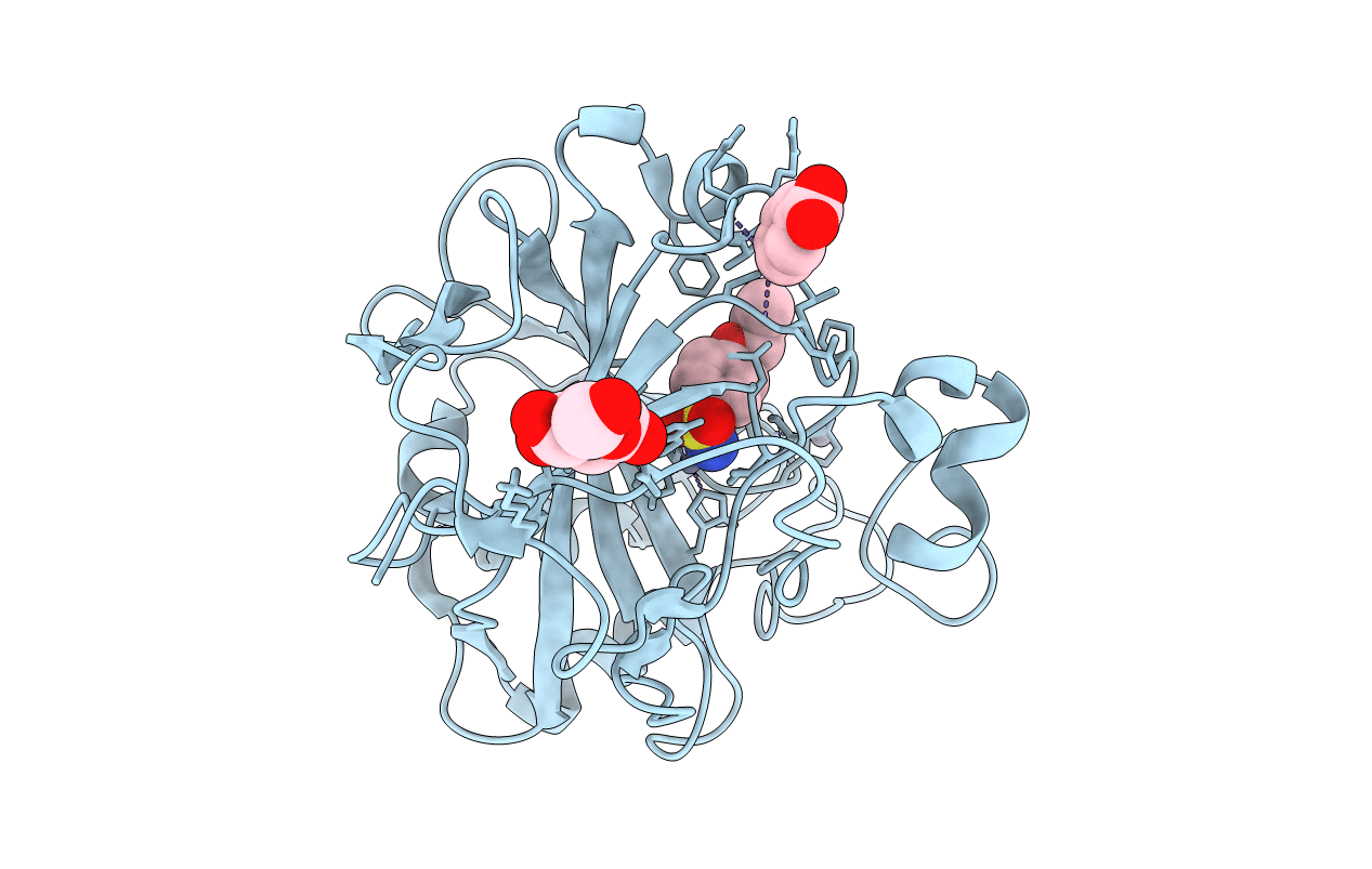 6I2F image