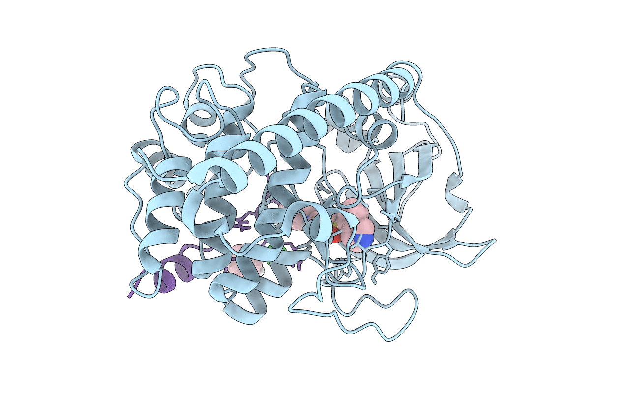 6I2H image