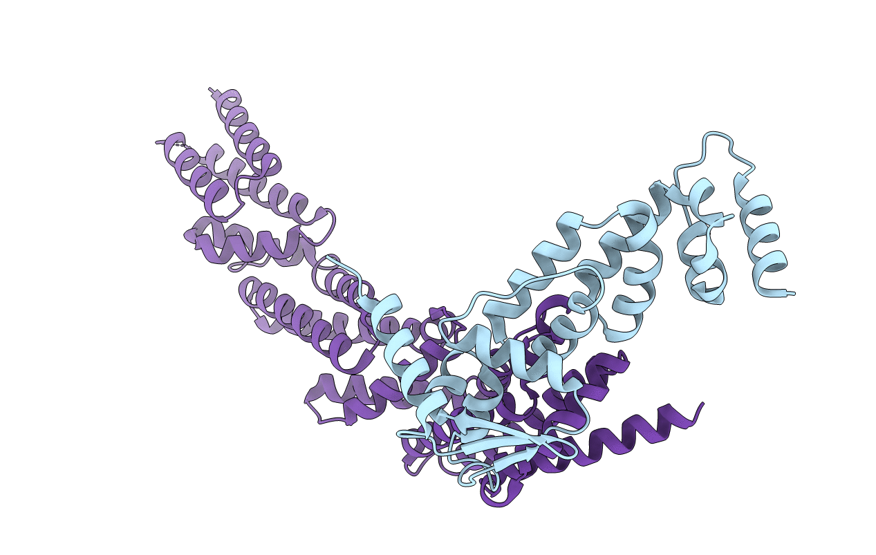 6I2M image