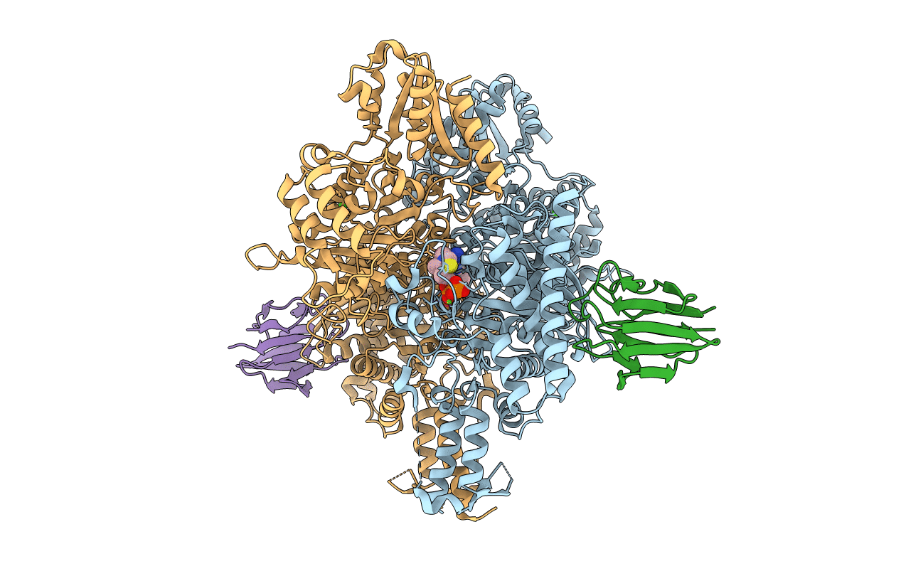6I2R image