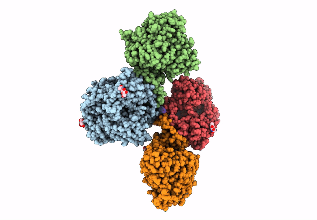 6I2T image