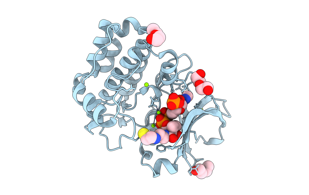 6I2U image