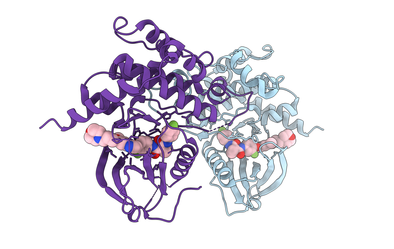 6I2Y image