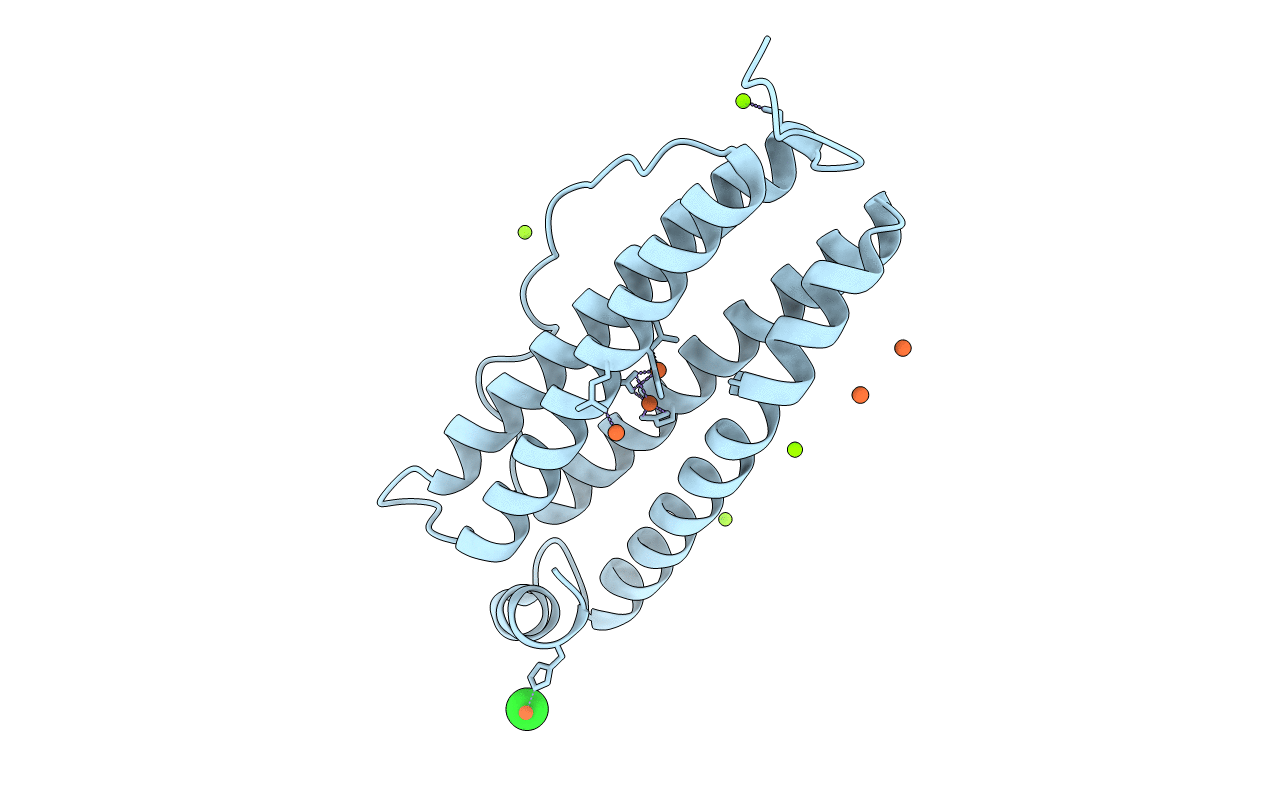 6I36 image